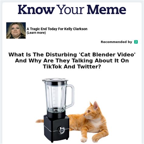 cat in blender video twitter|What Is The Disturbing Cat Blender Video And Why Are They。